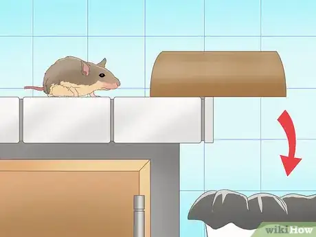 Imagen titulada Catch a Rodent in Your House Step 14