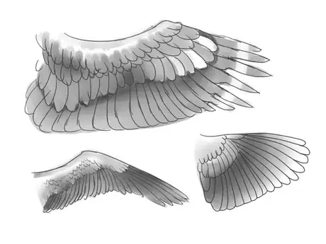 Imagen titulada Eaglewing5.png