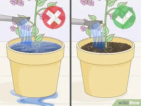 Imagen titulada Get Rid of Mold on Houseplants Step 12