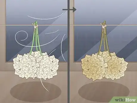 Imagen titulada Grow Hydrangeas Step 12