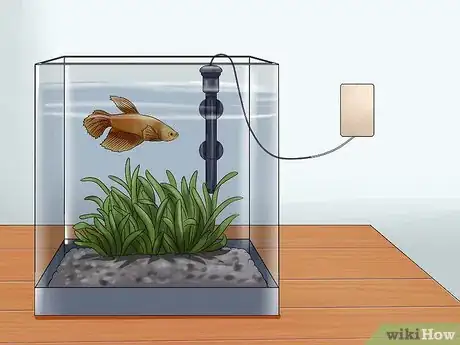 Imagen titulada Keep a Betta's Water Warm Step 3