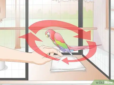 Imagen titulada Toilet Train a Parrot Step 7