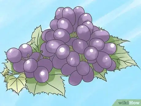 Imagen titulada Grow Grape Vines Step 12