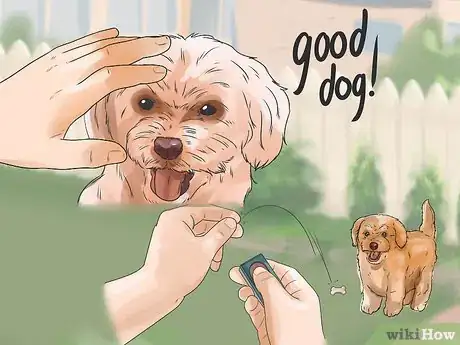 Imagen titulada Teach Your Dog to Focus Step 9