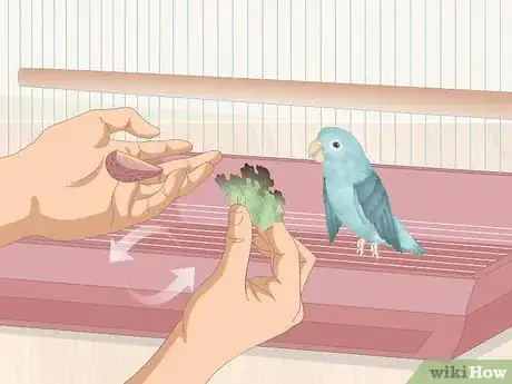 Imagen titulada Care for a Sick Pet Bird at Home Step 8