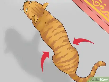 Imagen titulada Assess Your Cat's Weight Step 3