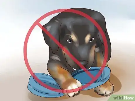 Imagen titulada Train Your Rottweiler Puppy With Simple Commands Step 7
