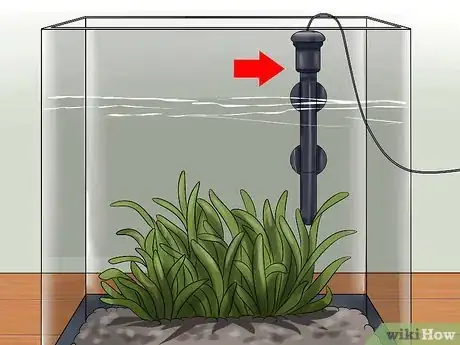 Imagen titulada Keep a Betta's Water Warm Step 1