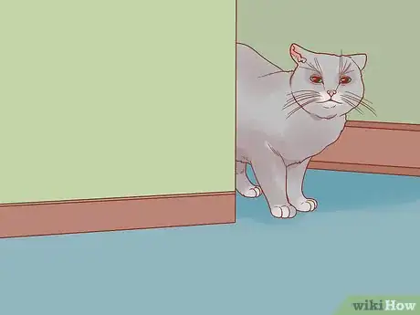 Imagen titulada Know if Your Cat Is Afraid of Something Step 12