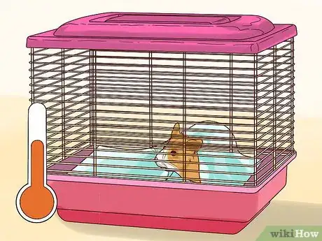 Imagen titulada Treat Diarrhea in Hamsters Step 6