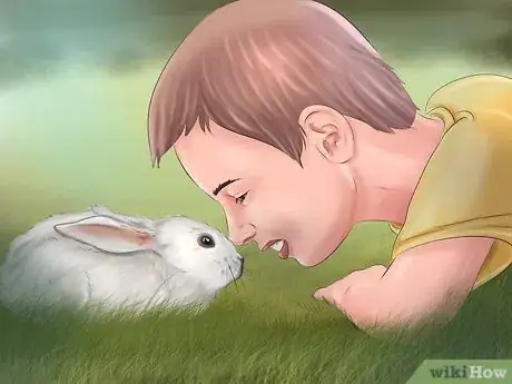 Imagen titulada Make Your Rabbit Like You Step 13