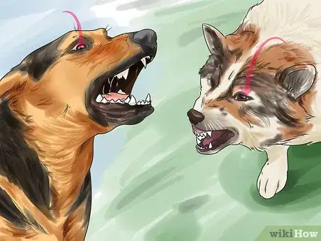 Imagen titulada Get Your Two Dogs to Stop Fighting Step 5