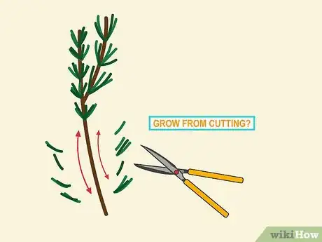 Imagen titulada Grow Cuttings from Established Plants Step 03