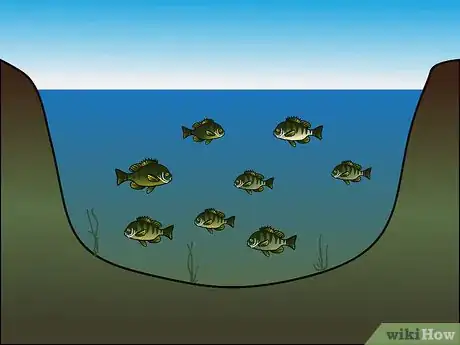 Imagen titulada Fish Without Fishing Gear Step 16