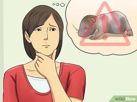 Imagen titulada Care for Newborn Hamsters Step 11