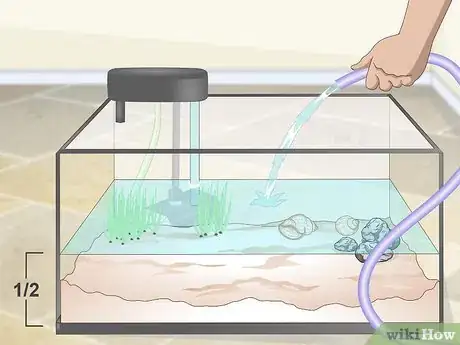 Imagen titulada Set up a Guppy Tank Step 4