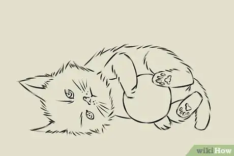 Imagen titulada Draw a Kitten Step 17