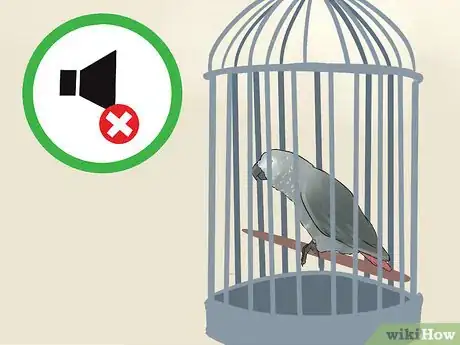 Imagen titulada Socialize an African Grey Parrot Step 2