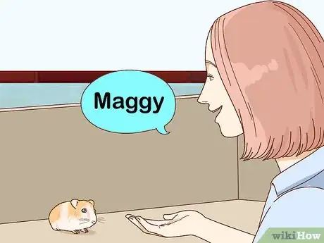 Imagen titulada Train Your Hamster to Come when You Call Step 9