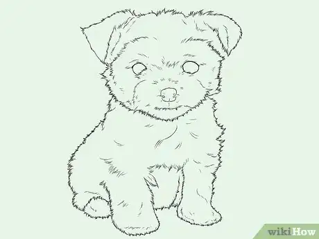 Imagen titulada Draw a Yorkie Step 11