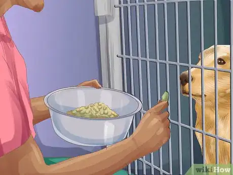 Imagen titulada Choose a Place for Your Dog to Eat Step 7