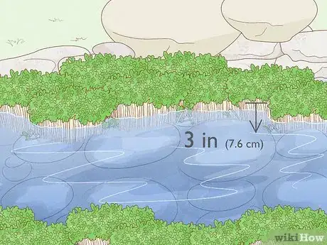 Imagen titulada Grow Watercress in a Pond Step 17