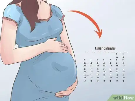 Imagen titulada Use the Chinese Birth Gender Chart for Gender Selection Step 2