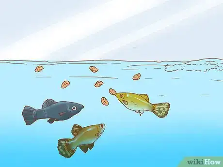 Imagen titulada Know How Many Fish You Can Place in a Fish Tank Step 10