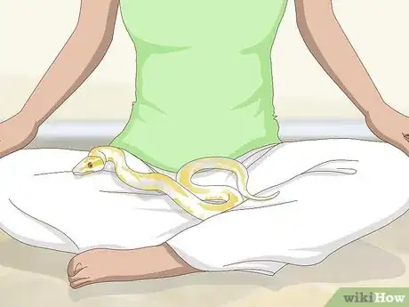 Imagen titulada Build a Relationship with Your Snake Step 13