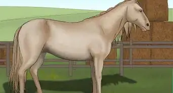diferenciar el color de un caballo por su nombre