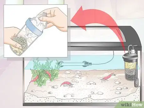 Imagen titulada Make a Shrimp Aquarium Step 15