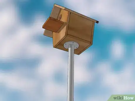 Imagen titulada Hang a Bird House Step 1