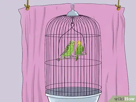 Imagen titulada Teach Parakeets to Talk Step 7