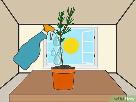 Imagen titulada Grow Cuttings from Established Plants Step 16