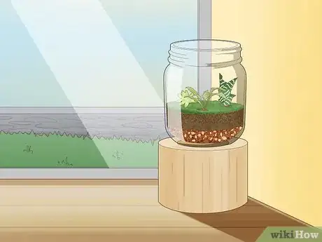 Imagen titulada Grow a Garden in a Bottle Step 14