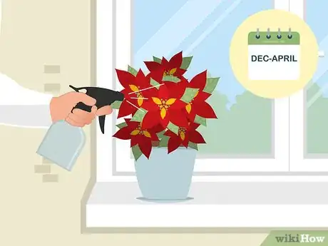 Imagen titulada Care for Poinsettias Step 12