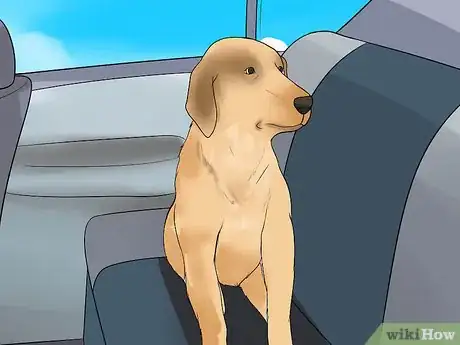 Imagen titulada Calm a Nervous Dog in the Car Step 4