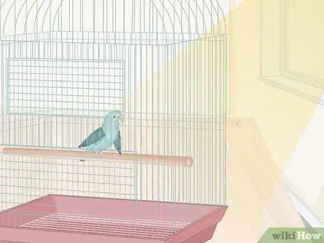 Imagen titulada Care for a Sick Pet Bird at Home Step 2