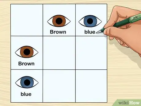 Imagen titulada Predict Your Baby's Eye Color Step 10