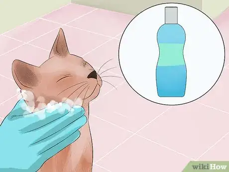 Imagen titulada Make Your Cat's Fur Soft and Shiny Step 10