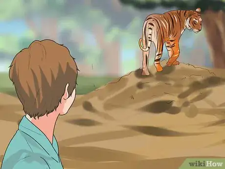 Imagen titulada Survive a Tiger Attack Step 5