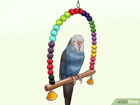 Imagen titulada Play With Your Budgie Step 3