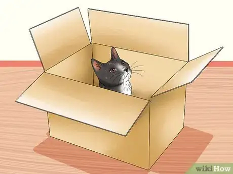 Imagen titulada Plan and Prepare for Your New Cat Step 17