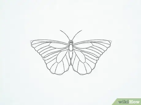 Imagen titulada Draw a Butterfly Step 23