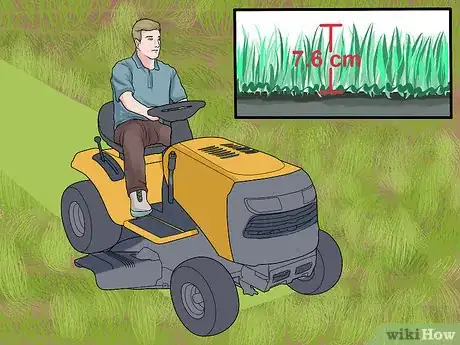 Imagen titulada Sow Grass Seed Step 13