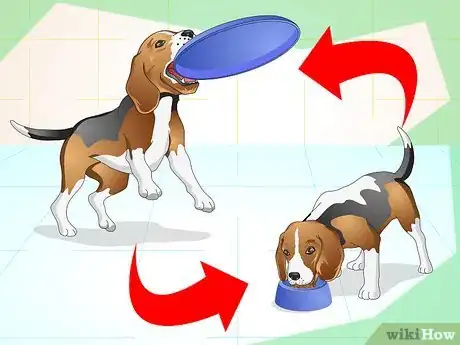 Imagen titulada Understand What Your Dog Wants Step 12