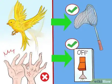 Imagen titulada Keep a Canary Entertained Step 10