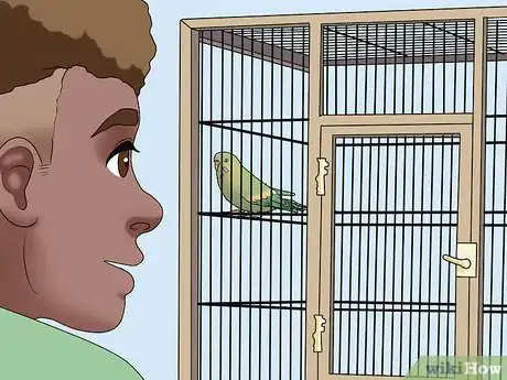 Imagen titulada Amuse Your Parakeet or Other Bird Step 5