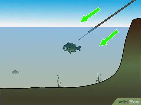 Imagen titulada Fish Without Fishing Gear Step 22