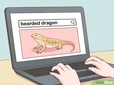 Imagen titulada Care for Bearded Dragons Step 1